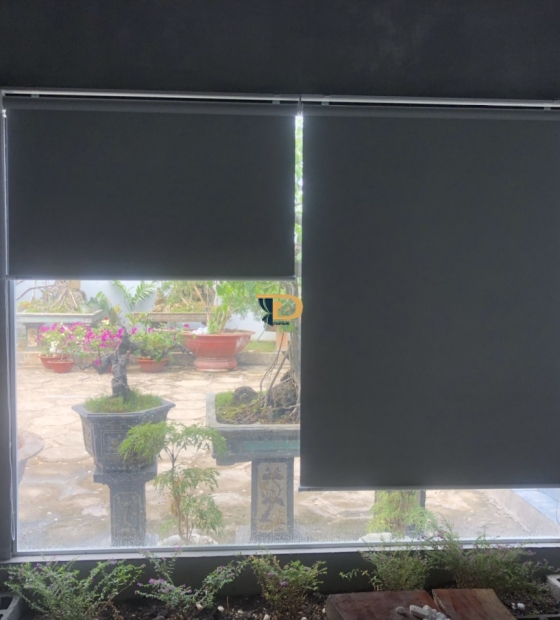 Rèm cửa sổ cuốn